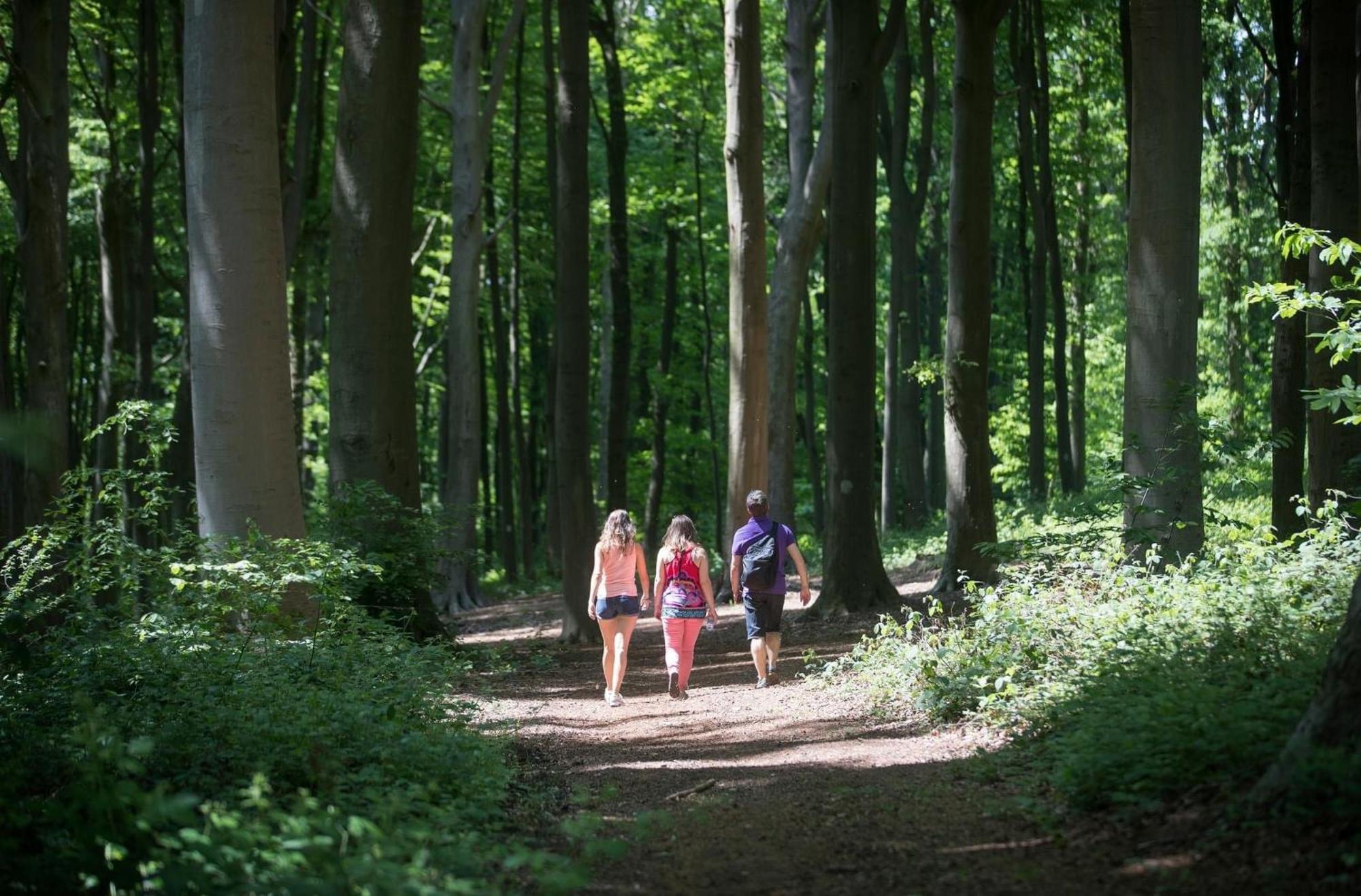 2relax * Zutendaal